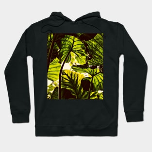 Nature tree Hoodie